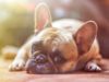 Why I Took a Break From Writing