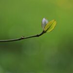 The Technical Debt of Life